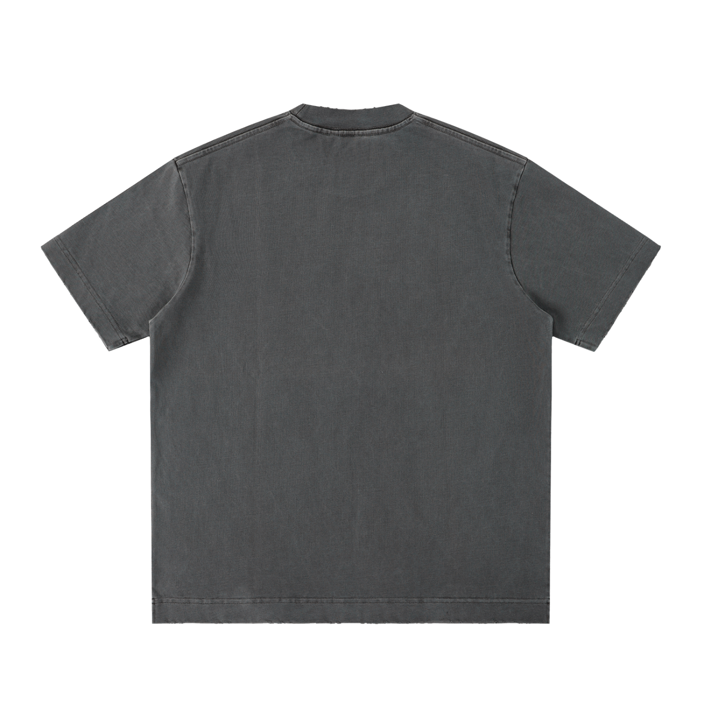 PREEVISION Heavyweight Vintage Washed Frayed T-Shirt (12 Other Colors)