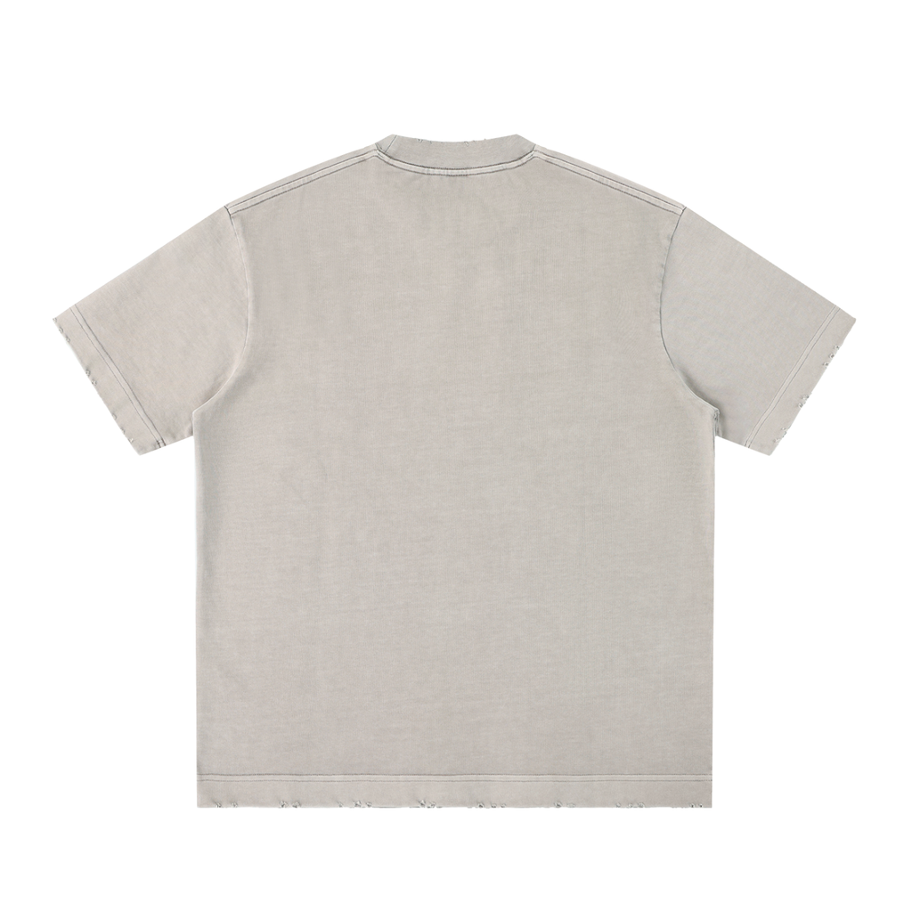 PREEVISION Heavyweight Vintage Washed Frayed T-Shirt (12 Other Colors)