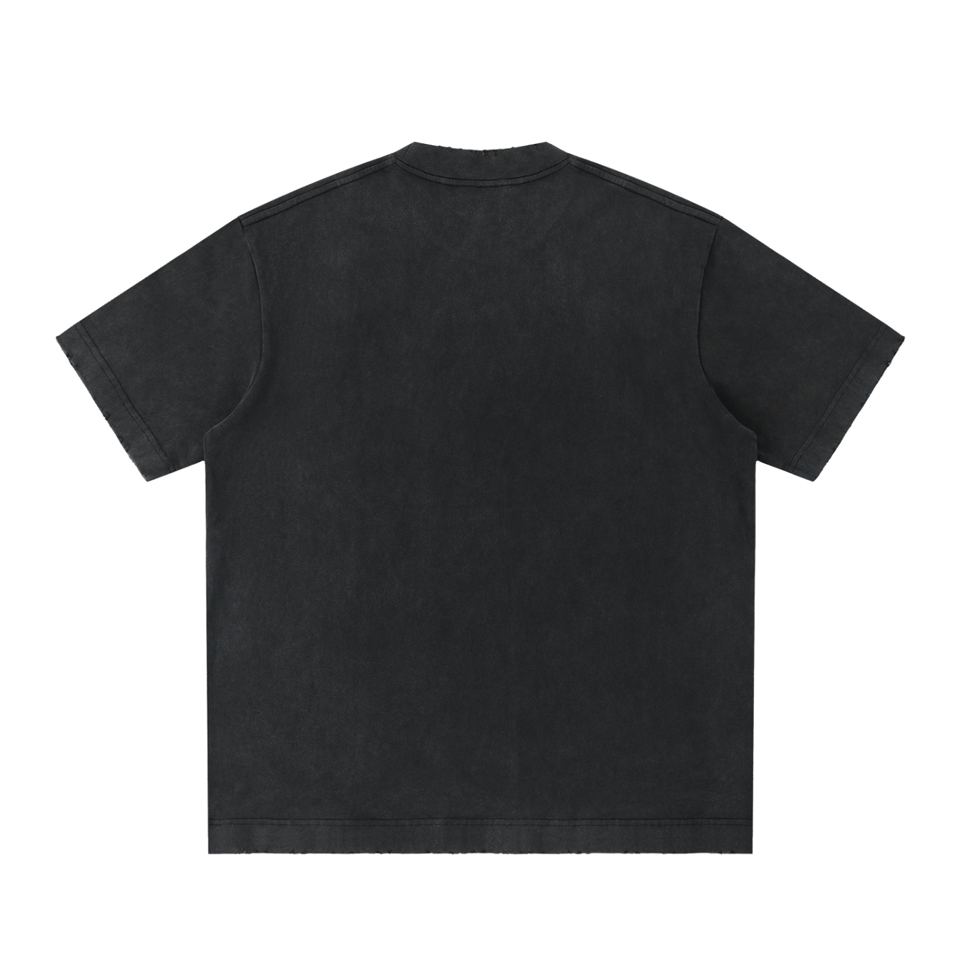 PREEVISION Heavyweight Vintage Washed Frayed T-Shirt (12 Other Colors)