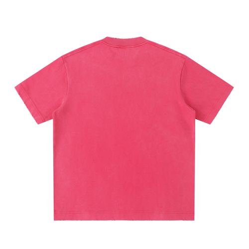 PREEVISION Heavyweight Vintage Washed Frayed T-Shirt (12 Other Colors)