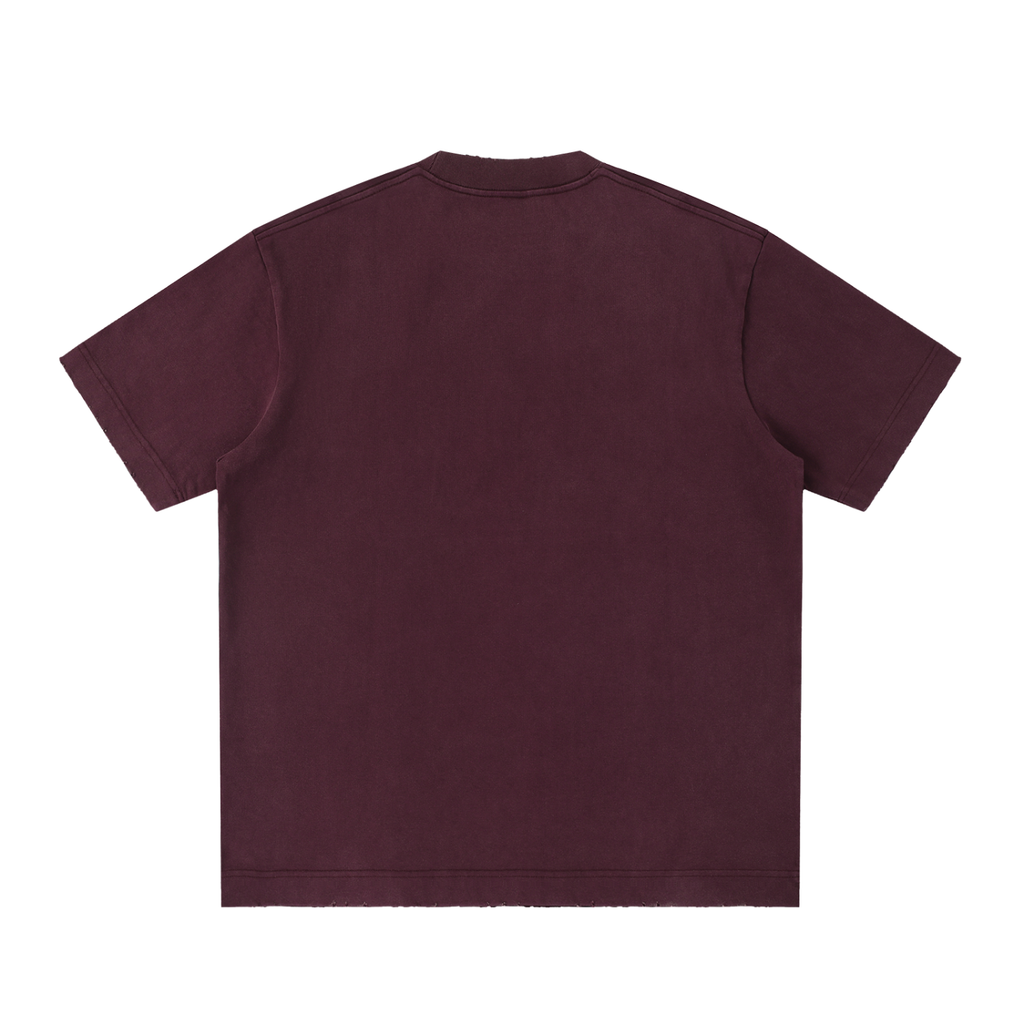 PREEVISION Heavyweight Vintage Washed Frayed T-Shirt (12 Other Colors)